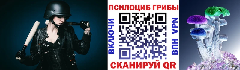 Псилоцибиновые грибы Psilocybe  купить  цена  darknet состав  Абакан 