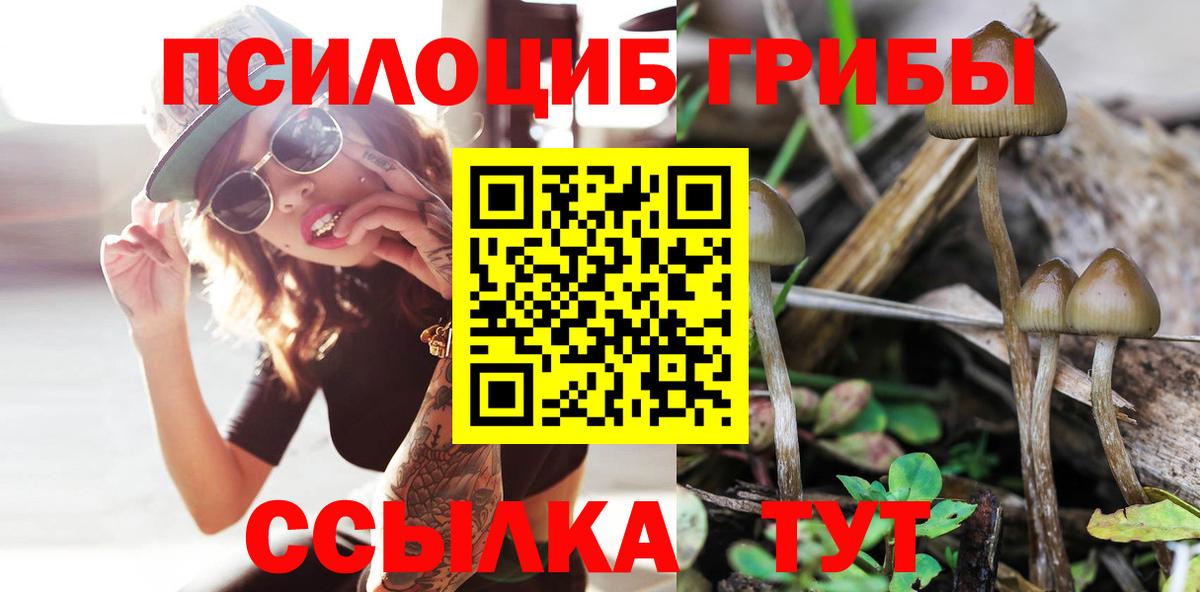 Псилоцибиновые грибы Cubensis  Псилоцибиновые грибы GOLDEN TEACHER  Абакан 