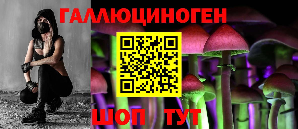 Псилоцибиновые грибы мухоморы Абакан
